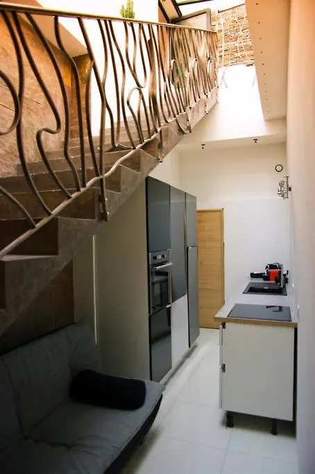 Super Loft With Terrasse In The Heart Of Nice
